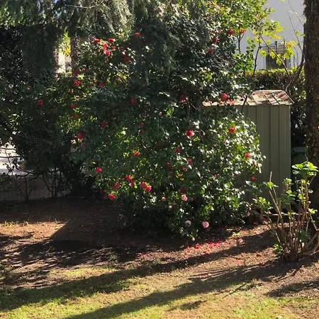 Casa Amira - Fortuna Ασκόνα